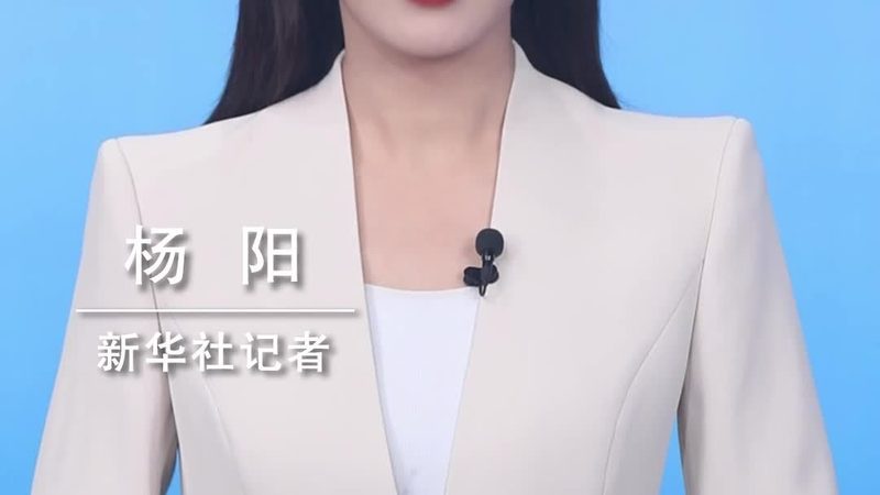 SaaS数据安全与本地部署的核心差异